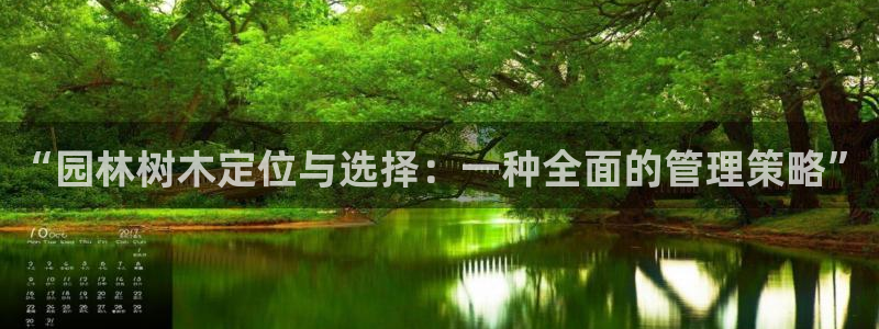 新宝gg一创造奇迹