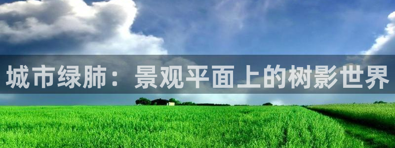 新浪新闻新宝gg