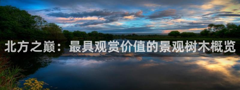 新宝gg平台首页