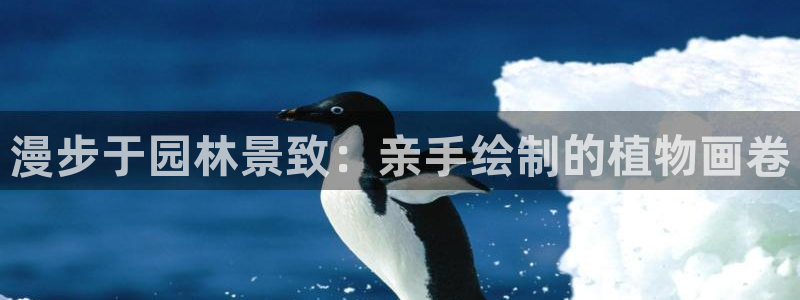 新宝gg龙虎规则