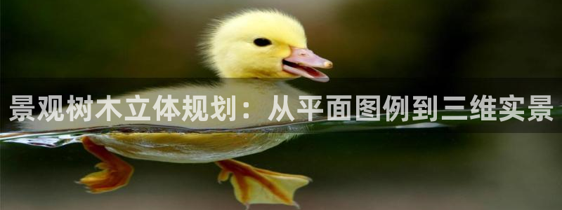 新宝GG创业奇迹