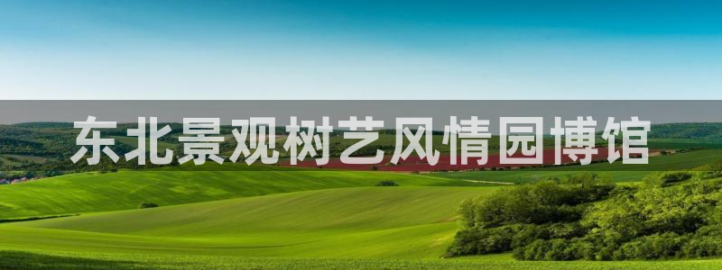 新宝gg平台q891465