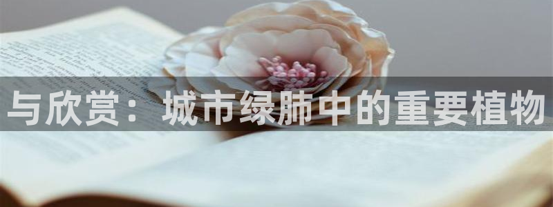 新宝gg客服电话