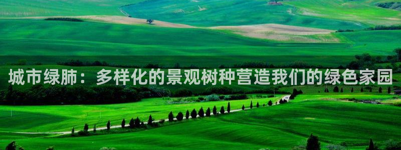 新宝gg — 创造!