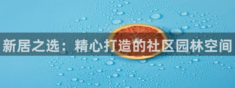 新宝gg首页平台