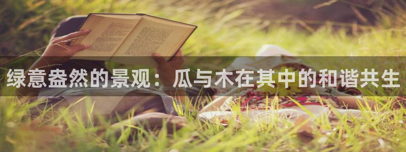 娱乐世界新宝gg