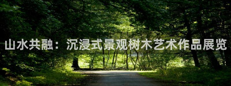 新宝 gg最新:山水共融:沉浸式景观树木艺术作品展览