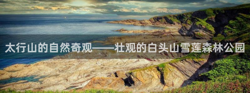 怎么代理新宝gg