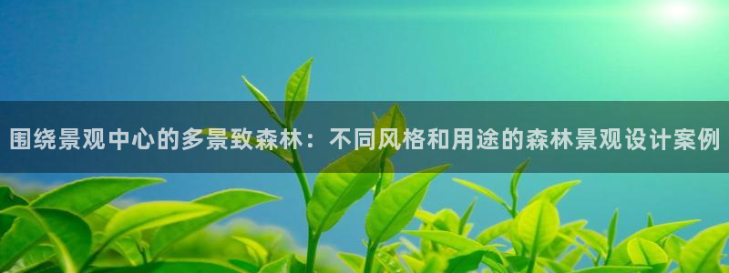 新宝gg一创造奇迹