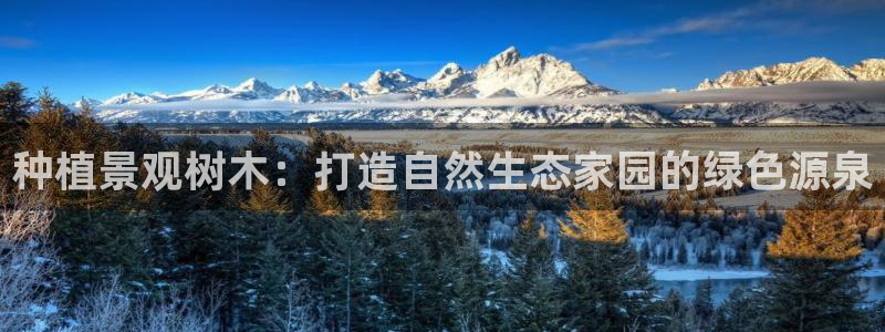 新宝gg测试:种植景观树木:打造自然生态家园的绿色源泉