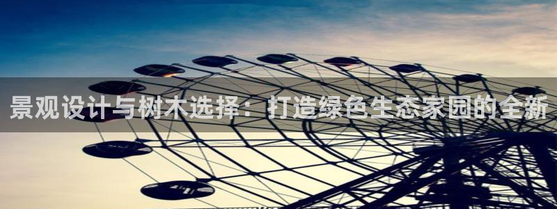 新宝gg一创造奇迹