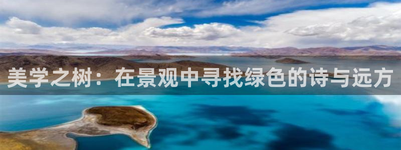 新宝gg入口网址