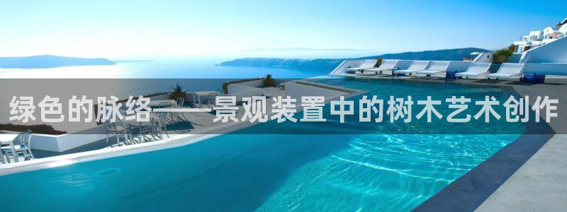 创造奇迹新宝gg