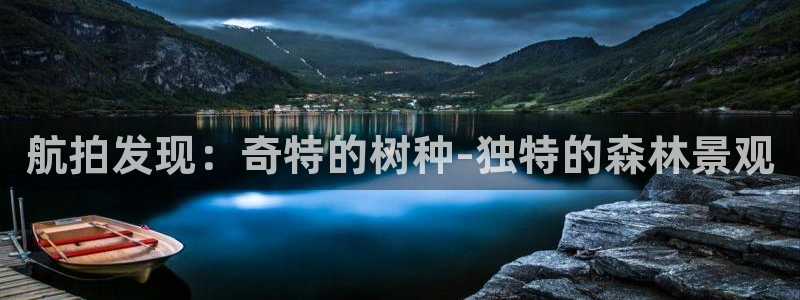 新宝gg 平台怎么样