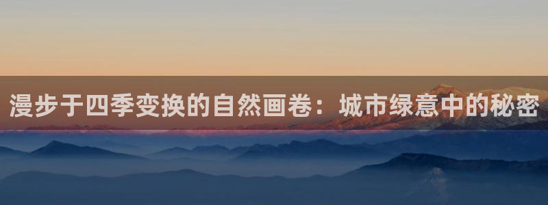 新宝GG专业团队