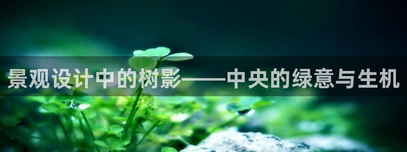 新宝gg成立
