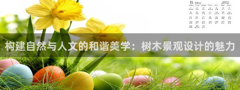 新宝gg平台连接