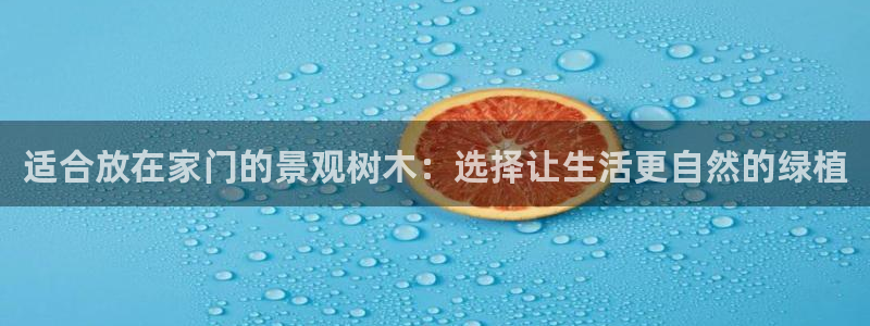 新宝gg 开户：适合放在家门的景观树木：选择让生活更自然的绿植