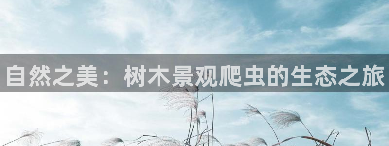新宝GG苹果版