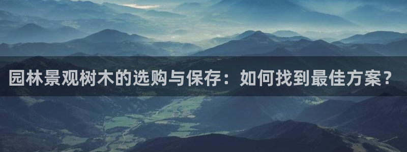 新宝gg.