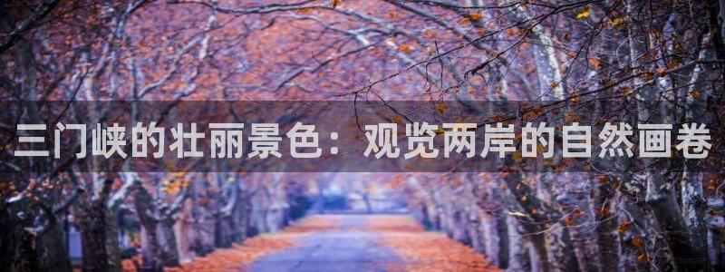 新宝gg玩