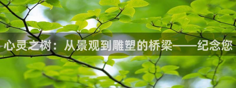 新宝gg吧
