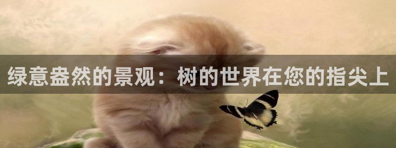 新宝太阳 gg