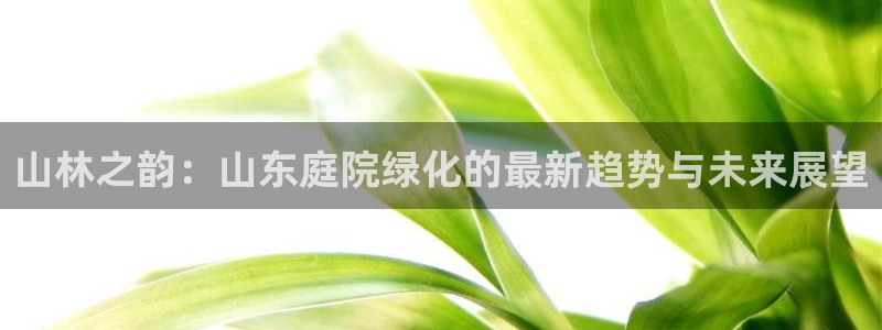 新宝gg刷流水