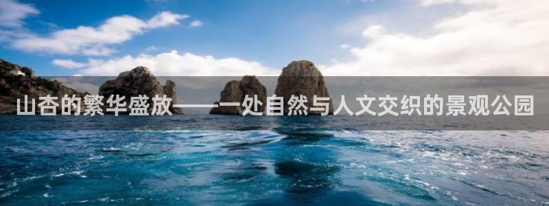 新宝gg娱乐怎么样