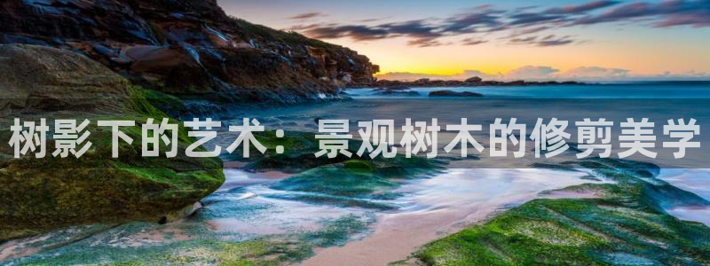 新宝gg客服电话：树影下的艺术：景观树木的修剪美学
