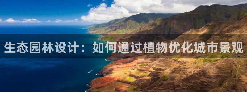 网站是新宝gg