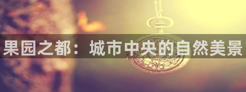 新宝gg代理条件