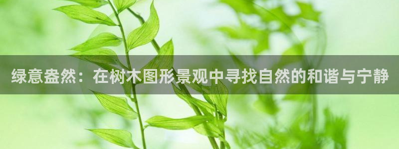 新宝GG创业奇迹