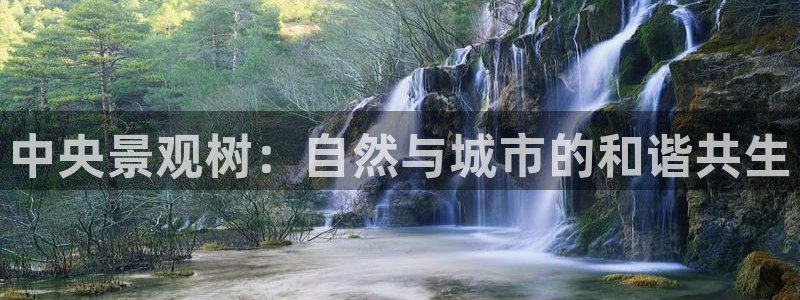 新宝gg代理条件：中央景观树：自然与城市的和谐共生