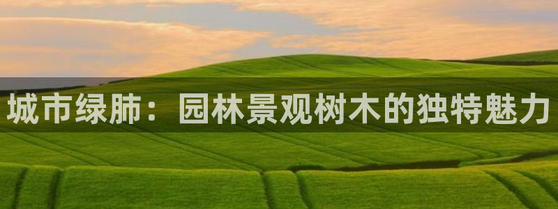 新宝gg客户登录：城市绿肺：园林景观树木的独特魅力