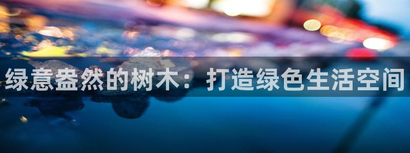 新宝gg奇迹