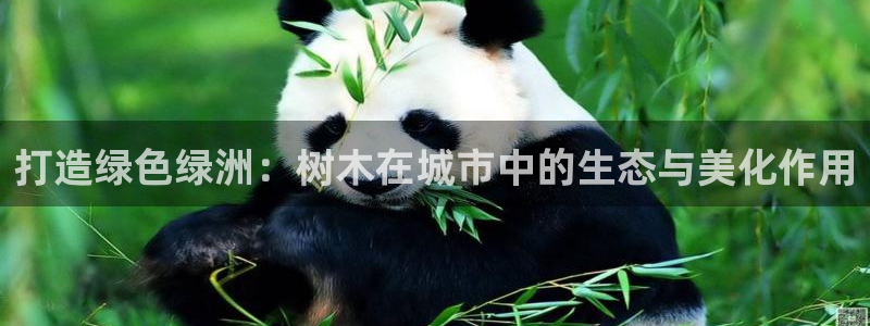 新宝gg游戏平台