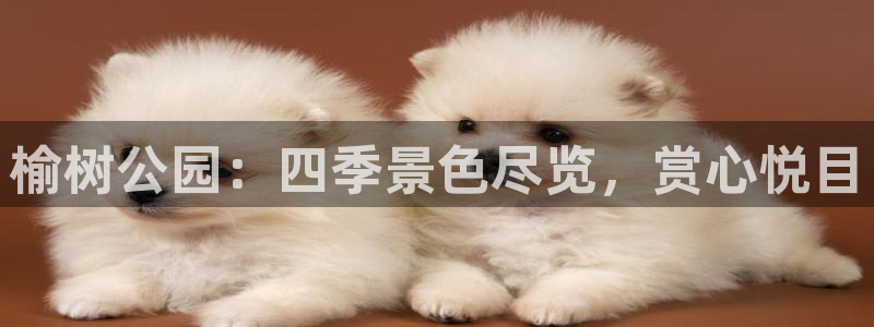 新宝gg线路：榆树公园：四季景色尽览，赏心悦目