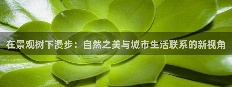 新宝gg新宝5注册：在景观树下漫步：自然之美与城市生活联系的新视角