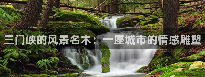 新宝gg   创造奇迹：三门峡的风景名木：一座城市的情感雕塑