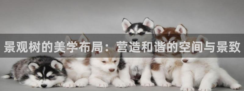 新宝gg如何做到总代理：景观树的美学布局：营造和谐的空间与景致