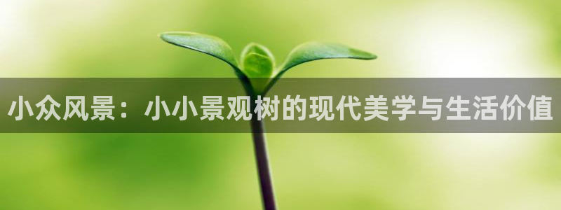 新宝GG桌面：小众风景：小小景观树的现代美学与生活价值