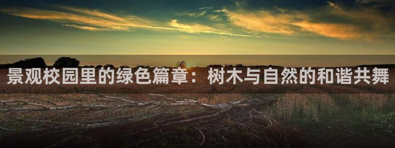 创造奇迹 新宝gg：景观校园里的绿色篇章：树木与自然的和谐共舞