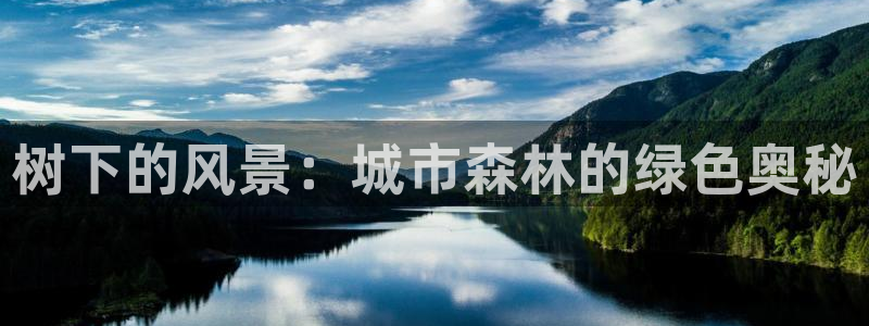 新宝六与新宝gg：树下的风景：城市森林的绿色奥秘