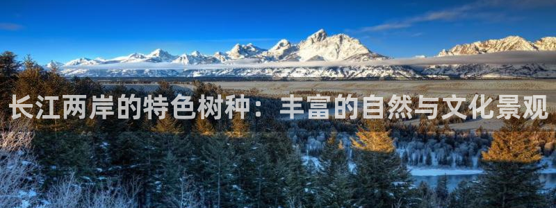 新宝gg真的：长江两岸的特色树种：丰富的自然与文化景观