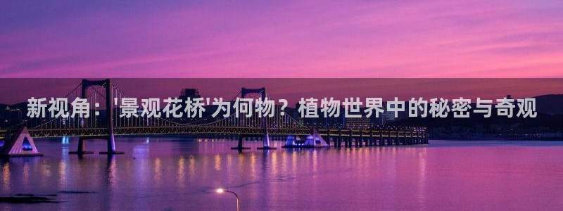 正版新宝gg：新视角：\'景观花桥\'为何物？植物世界中的秘密与奇观