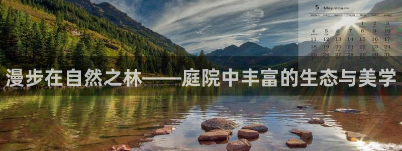 新宝gg娱乐上皇巢网